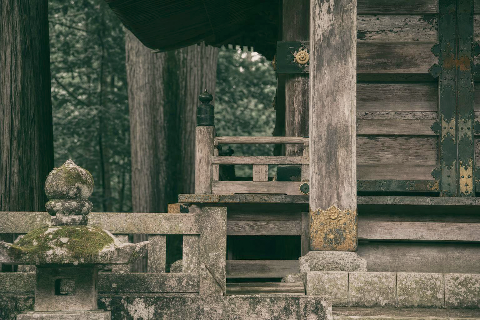 高野山の山々と道